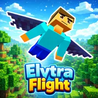 Elytra Flight